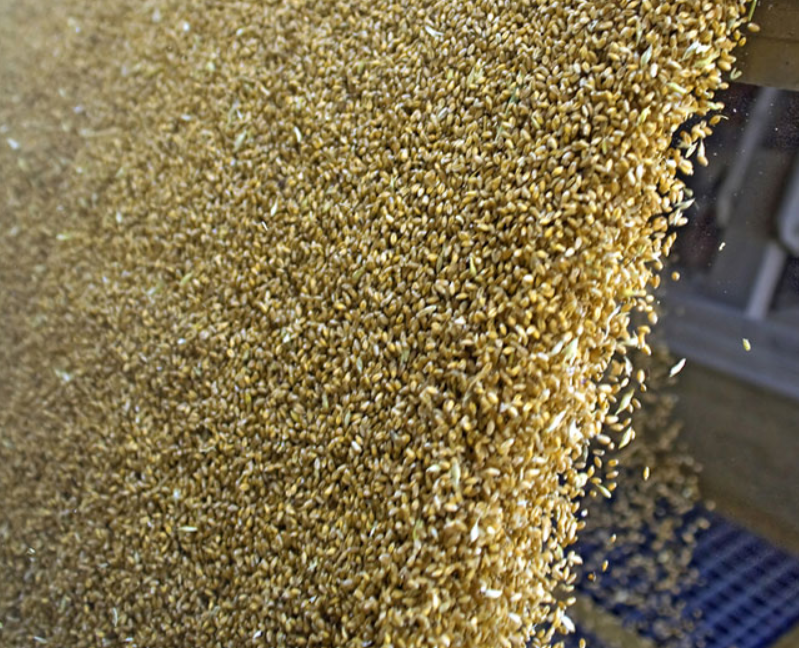 Goods In | Agriculture Industry - Sartorius Croatia