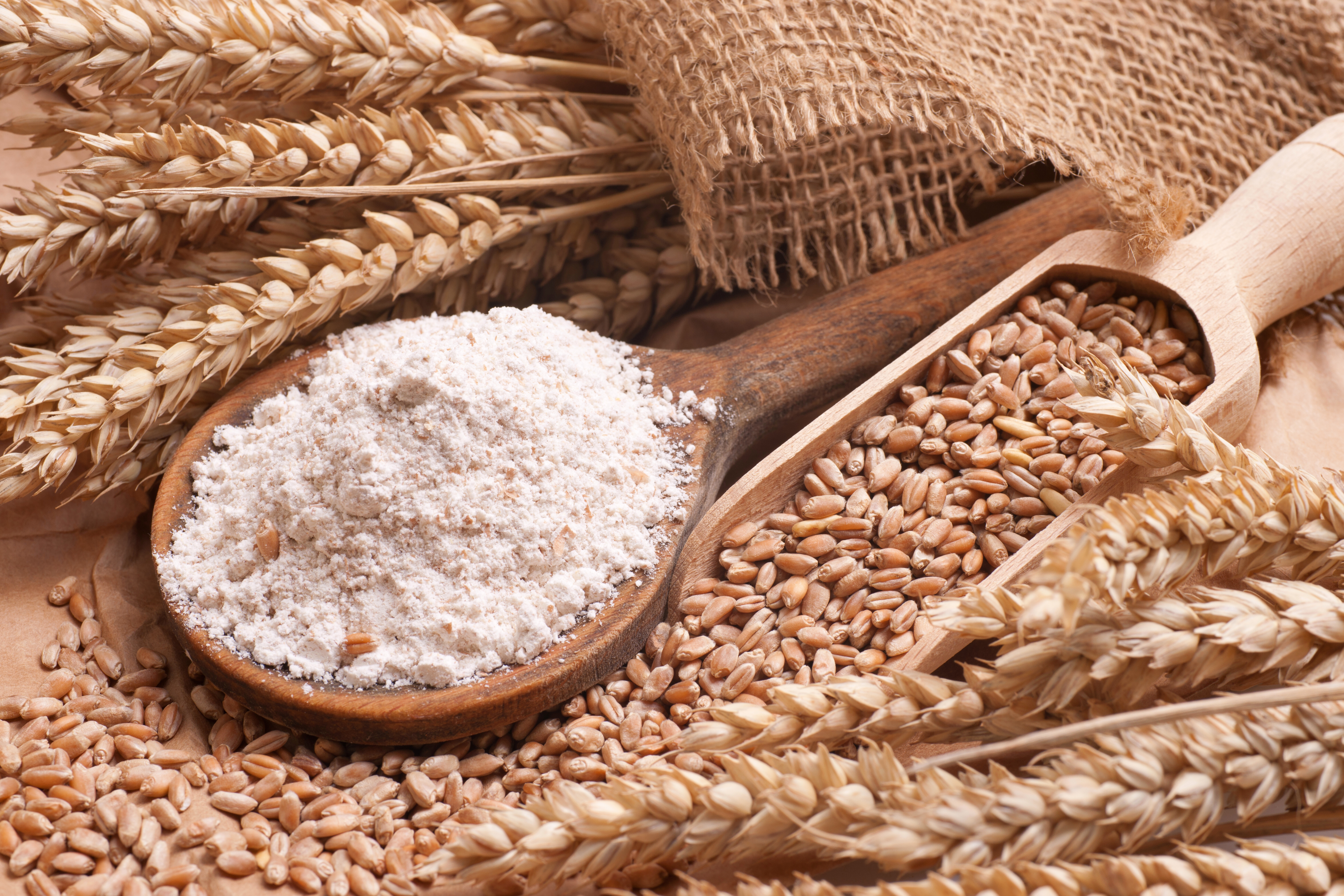 Kmetijska industrija - Sartorius Croatia 