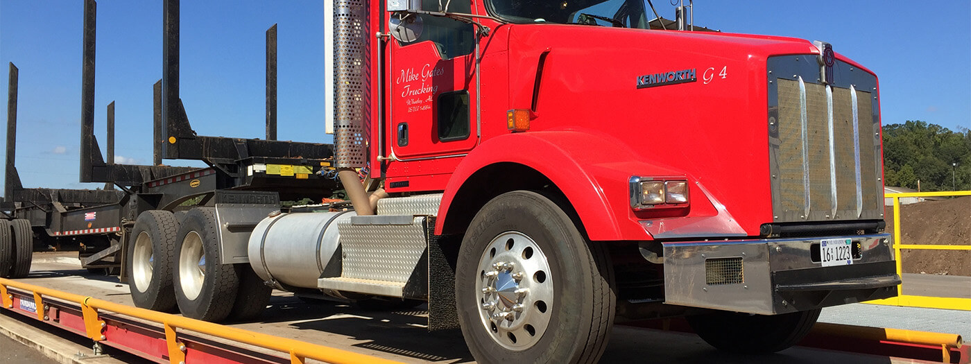 Merilne celice za tovornjake - Sartorius Croatia 